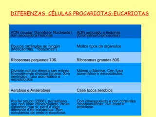 DIFERENZAS CÉLULAS PROCARIOTAS-EUCARIOTAS


ADN circular (Xenóforo- Nucleoide)     ADN asociado a histonas
non asociado a histonas                (Cromatina/Cromosoma)

Poucos orgánulos ou ningún             Moitos tipos de orgánulos
(Mesosomas, “ribosomas”)

Ribosomas pequenos 70S                 Ribosomas grandes 80S

División celular directa sen mitose.   Mitose e Meiose. Con fuso
Normalmente división binaria. Sen      acromático e microtúbulos.
centriolos, fuso acromático e
microtúbulos

Aerobios e Anaerobios                  Case todos aerobios

Ata fai pouco (2006), pensábase        Con citoesqueleto e con correntes
que non tiñan citoesqueleto. Hoxe      citoplasmáticas. Hai endo e
sabemos que si, pero é algo            exocitose.
diferente ó de eucariotas. Sen
constancia de endo e exocitose.
 
