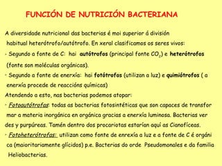 FUNCIÓN DE NUTRICIÓN BACTERIANA

A diversidade nutricional das bacterias é moi superior á división
habitual heterótrofo/autótrofo. En xeral clasificamos os seres vivos:
   Segundo a fonte de C: hai autótrofos (principal fonte CO2) e heterótrofos

(fonte son moléculas orgánicas).

    Segundo a fonte de enerxía: hai fotótrofos (utilizan a luz) e quimiótrofos ( a
enerxía procede de reaccións químicas)
Atendendo a esto, nas bacterias podemos atopar:

    Fotoautótrofas: todas as bacterias fotosintéticas que son capaces de transfor
mar a materia inorgánica en orgánica gracias a enerxía luminosa. Bacterias ver
des y purpúreas. Tamén dentro dos procariotas estarían aquí as Cianofíceas.

    Fotoheterótrofas: utilizan como fonte de enrexía a luz e a fonte de C é orgáni
ca (maioritariamente glícidos) p.e. Bacterias do orde Pseudomonales e da familia
    Heliobacterias.
 