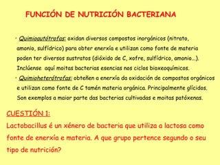 FUNCIÓN DE NUTRICIÓN BACTERIANA

  
      Quimioautótrofas: oxidan diversos compostos inorgánicos (nitrato,
   amonio, sulfídrico) para obter enerxía e utilizan como fonte de materia
   poden ter diversos sustratos (dióxido de C, xofre, sulfídrico, amonio...).
   Inclúense aquí moitas bacterias esencias nos ciclos bioxeoquímicos.
  
      Quimioheterótrofas: obteñen a enerxía da oxidación de compostos orgánicos
   e utilizan como fonte de C tamén materia orgánica. Principalmente glícidos.
   Son exemplos a maior parte das bacterias cultivadas e moitas patóxenas.

CUESTIÓN 1:
Lactobacillus é un xénero de bacteria que utiliza a lactosa como
fonte de enerxía e materia. A que grupo pertence segundo o seu
tipo de nutrición?
 