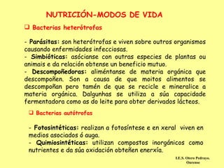 NUTRICIÓN-MODOS DE VIDA
 Bacterias heterótrofas

- Parásitas: son heterótrofas e viven sobre outros organismos
causando enfermidades infecciosas.
- Simbióticas: asócianse con outras especies de plantas ou
animais e da relación obtense un beneficio mutuo.
- Descompoñedoras: aliméntanse de materia orgánica que
descompoñen. Son a causa de que moitos alimentos se
descompoñan pero tamén de que se recicle e mineralice a
materia orgánica. Dalgunhas se utiliza a súa capacidade
fermentadora como as do leite para obter derivados lácteos.
  Bacterias autótrofas

 - Fotosintéticas: realizan a fotosíntese e en xeral viven en
 medios asociados ó auga.
 - Quimiosintéticas: utilizan compostos inorgánicos como
 nutrientes e da súa oxidación obteñen enerxía.
                                                   I.E.S. Otero Pedrayo.
                                                          Ourense
 