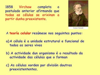 1858     Virchow    completa   o
postulado anterior afirmando que
todas as células se orixinan a
partir dunha preexistente.



A teoría celular resúmese nos seguintes puntos:

a) A célula é a unidade estrutural e funcional de
   todos os seres vivos

b) A actividade dun organismo é o resultado da
  actividade das células que o forman

c) As células xorden por división doutras
  preexistententes.
 