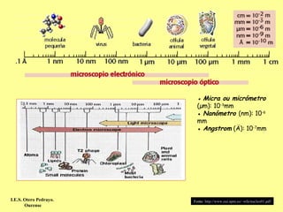 ● Micra ou micrómetro
                          (µm): 10-3mm
                          ● Nanómetro (nm): 10-6
                          mm
                          ● Angstrom (Ä): 10-7mm




I.E.S. Otero Pedrayo.   Fonte: http://www.eui.upm.es/~wfa/nucleo01.pdf
       Ourense
 
