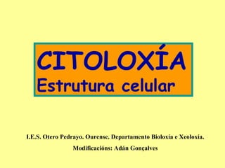 CITOLOXÍA
   Estrutura celular

I.E.S. Otero Pedrayo. Ourense. Departamento Bioloxía e Xeoloxía.
                Modificacións: Adán Gonçalves
 