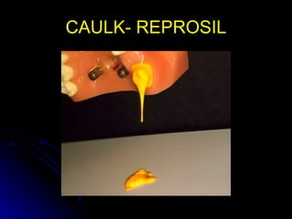 CAULK- REPROSIL 