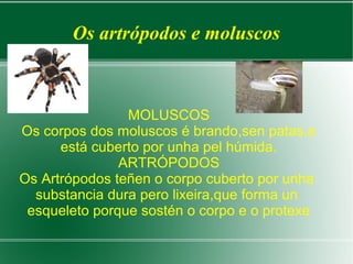 Os artrópodos e moluscos
MOLUSCOS
Os corpos dos moluscos é brando,sen patas,e
está cuberto por unha pel húmida.
ARTRÓPODOS
Os Artrópodos teñen o corpo cuberto por unha
substancia dura pero lixeira,que forma un
esqueleto porque sostén o corpo e o protexe
 