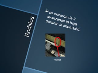 rodillos
 