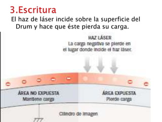3.EscrituraEl haz de láser incide sobre la superficie del Drum y hace que éste pierda su carga.