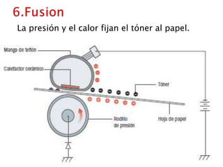 6.FusionLa presión y el calor fijan el tóner al papel.