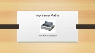 Impresora Matriz
Luis Esteban Penagos
 
