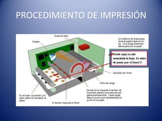 PROCEDIMIENTO DE IMPRESIÓN
 