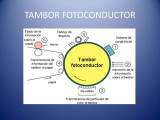 TIPOS DE IMPRESORAS LÁSER
• IMPRESORA LASER MONOCROMATICA




• IMPRESORA LASER A COLOR
 