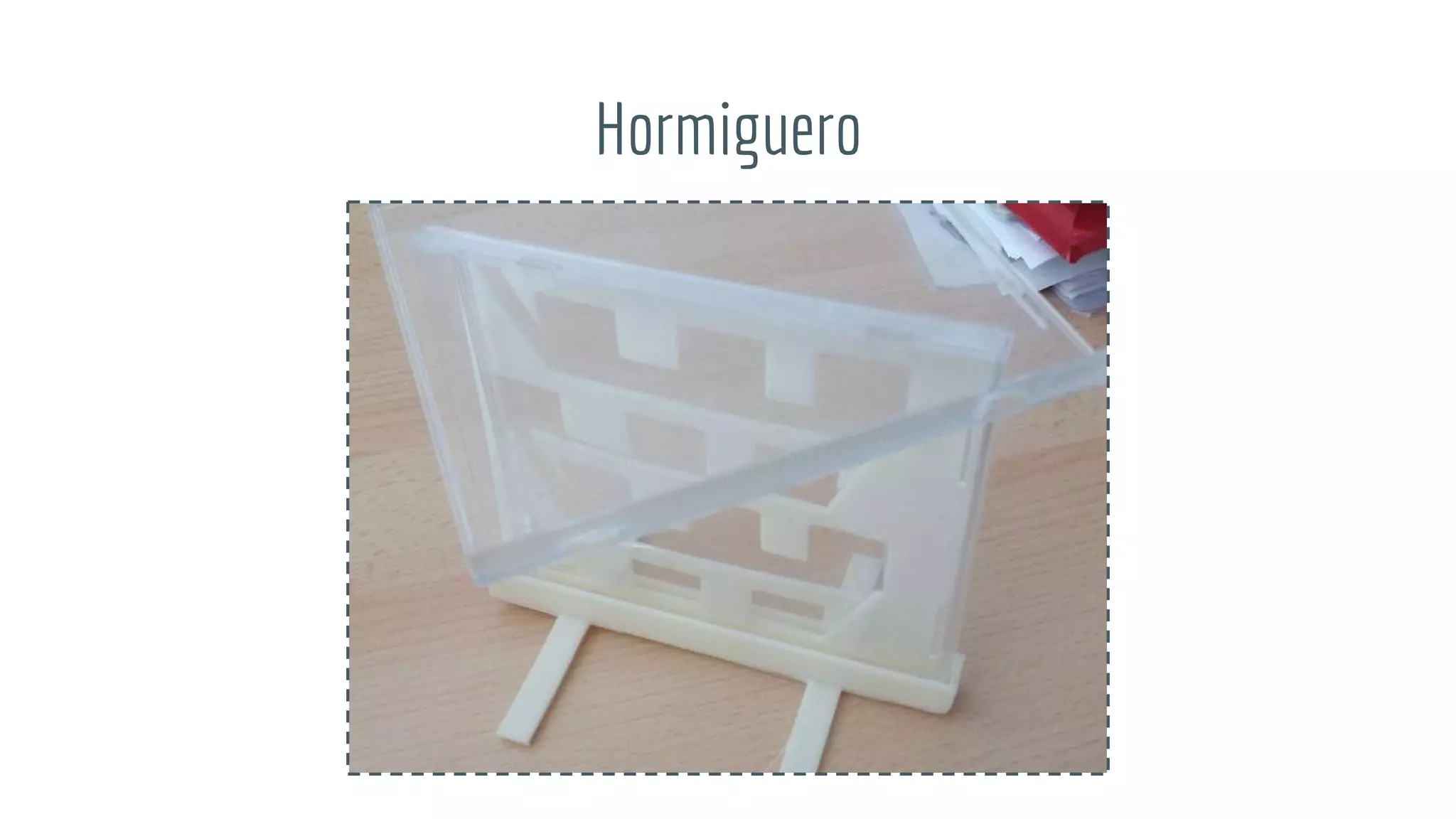 Hormiguero
 