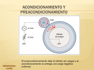 Acondicionamiento y preacondicionamiento El preacondicionamiento deja al cilindro sin cargas y el acondicionamiento le entrega una carga negativa uniforme.IMPRESORAS LASER 
