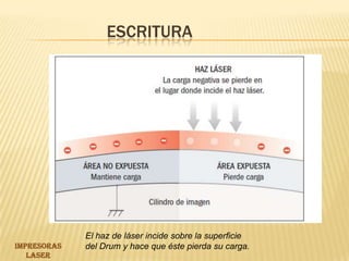 Escritura El haz de láser incide sobre la superficiedel Drum y hace que éste pierda su carga.IMPRESORAS LASER 