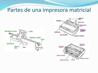Partes de una impresora matricial
 