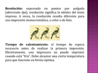 Resolución: expresada en puntos por pulgada
(abreviado dpi), resolución significa la nitidez del texto
impreso. A veces, la resolución resulta diferente para
una impresión monocromática, a color o de foto.

Tiempo de calentamiento: el tiempo de espera
necesario antes de realizar la primera impresión.
Efectivamente, una impresora no puede imprimir
cuando está "fría". Debe alcanzar una cierta temperatura
para que funcione en forma óptima.

 