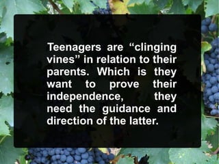 Teenagers are “clinging
vines” in relation to their
parents. Which is they
want to prove their
independence, they
need the guidance and
direction of the latter.
 