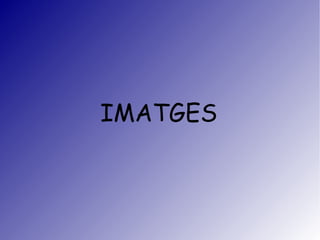IMATGES 