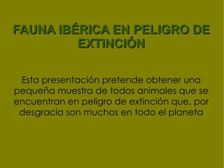 FAUNA IBÉRICA EN PELIGRO DE EXTINCIÓN Esta presentación pretende obtener una pequeña muestra de todos animales que se encuentran en peligro de extinción que, por desgracia son muchos en todo el planeta