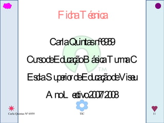 Ficha Técnica Carla Quintas nº6959 Curso de Educação Básica Turma C Escla Superior de Educação de Viseu Ano Lectivo 2007/2008 