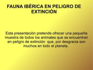 FAUNA IBÉRICA EN PELIGRO DE EXTINCIÓN Esta presentación pretende ofrecer una pequeña muestra de todos los animales que se encuentran en peligro de extinción  que, por desgracia son muchos en todo el planeta.  