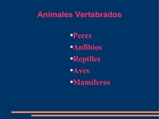 Animales Vertebrados

       ●Peces
       ●Anfibios


       ●Reptiles


       ●Aves


       ●Mamíferos
 
