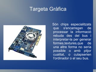 Targeta Gràfica Són chips especialitzats que s'encarregan de processar la informació rebuda des del bus i interpretar-la per generar formes,textures,que de una altre forma no sería possible o amb pitjor cualitat, o culapserien l'ordinador o el seu bus. 