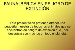 FAUNA IBÉRICA EN PELIGRO DE EXTINCIÓN Esta presentación pretende ofrecer una pequeña muestra de todos los animales que se encuentran en peligro de extinción que , por desgracia son muchos en todo el planeta. 