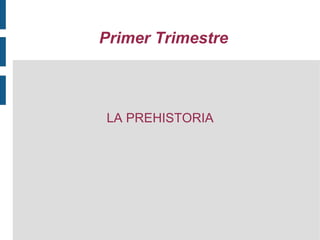 Primer Trimestre ,[object Object]