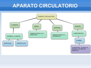 APARATO CIRCULATORIO
 