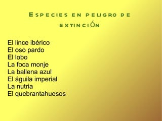 Especies en peligro de extinción El lince ibérico