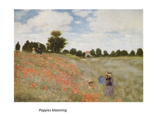 Poppies blooming
 