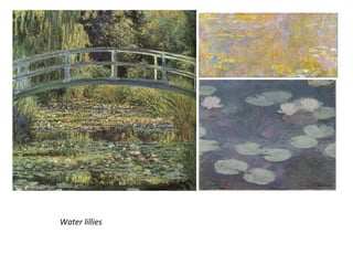 Water lillies
 