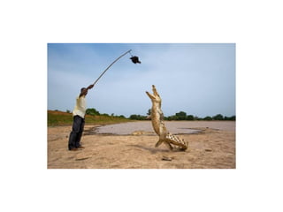 Impressive Shots