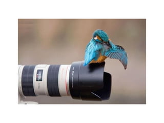 Impressive Shots
