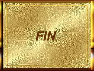FIN 
