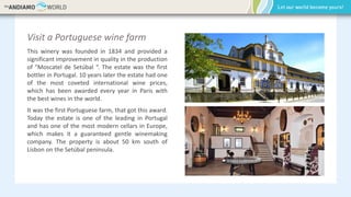 Visit a Portuguese wine farm
This winery was founded in 1834 and provided a
significant improvement in quality in the production
of "Moscatel de Setúbal “. The estate was the first
bottler in Portugal. 10 years later the estate had one
of the most coveted international wine prices,
which has been awarded every year in Paris with
the best wines in the world.
It was the first Portuguese farm, that got this award.
Today the estate is one of the leading in Portugal
and has one of the most modern cellars in Europe,
which makes it a guaranteed gentle winemaking
company. The property is about 50 km south of
Lisbon on the Setúbal peninsula.
 