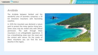 Arrábida
The Arrábida between Setúbal and the
wonderful area of Sesimbra comprises a 35
km limestone mountains with fascinating
coastline.
In 1976 the mountain was declared a nature
park to protect the many species living here.
Some areas may be visited only with official
permission. The walk through these
mountains is an unforgettable experience. It
has a breathtaking views over the coast and
the contact with nature. On the coasts of
these mountains you can find the best
beaches in the region,
 