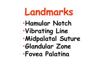 Landmarks
•Hamular Notch
•Vibrating Line
•Midpalatal Suture
•Glandular Zone
•Fovea Palatina
 