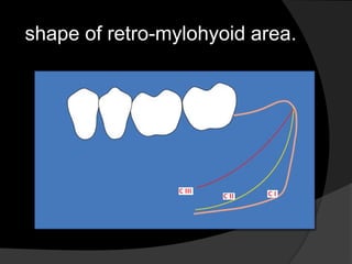 shape of retro-mylohyoid area. 
 