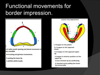Functional movements for 
border impression. 
 