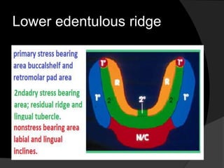 Lower edentulous ridge 
 