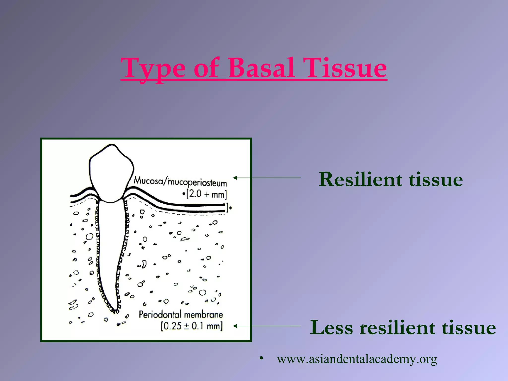 Type of Basal Tissue
Resilient tissue
Less resilient tissue
• www.asiandentalacademy.org
 