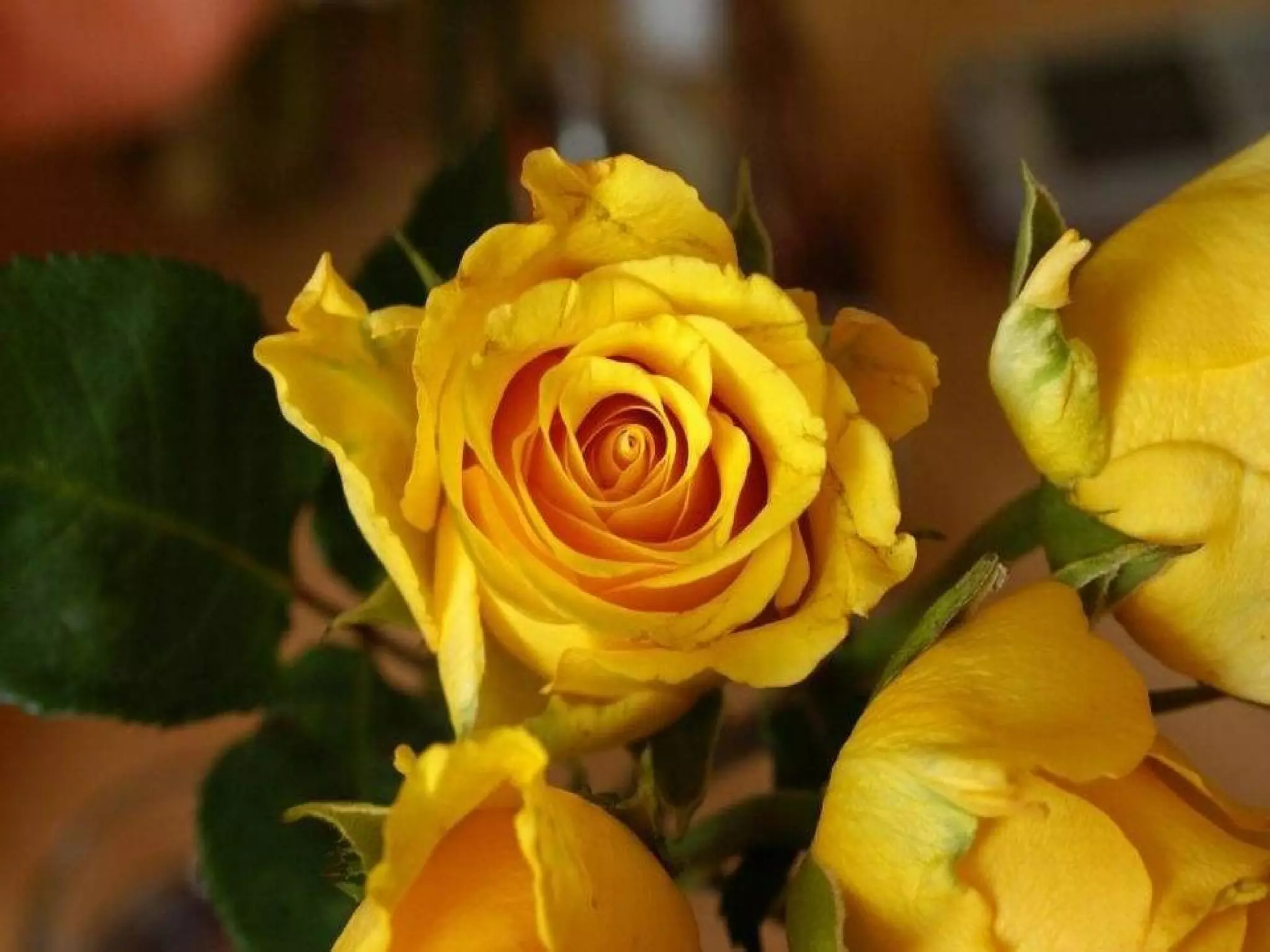 Where love rules there is no will to power; and where power predominates there love is lacking. The one is the shadow of the other. Carl Gustav Jung