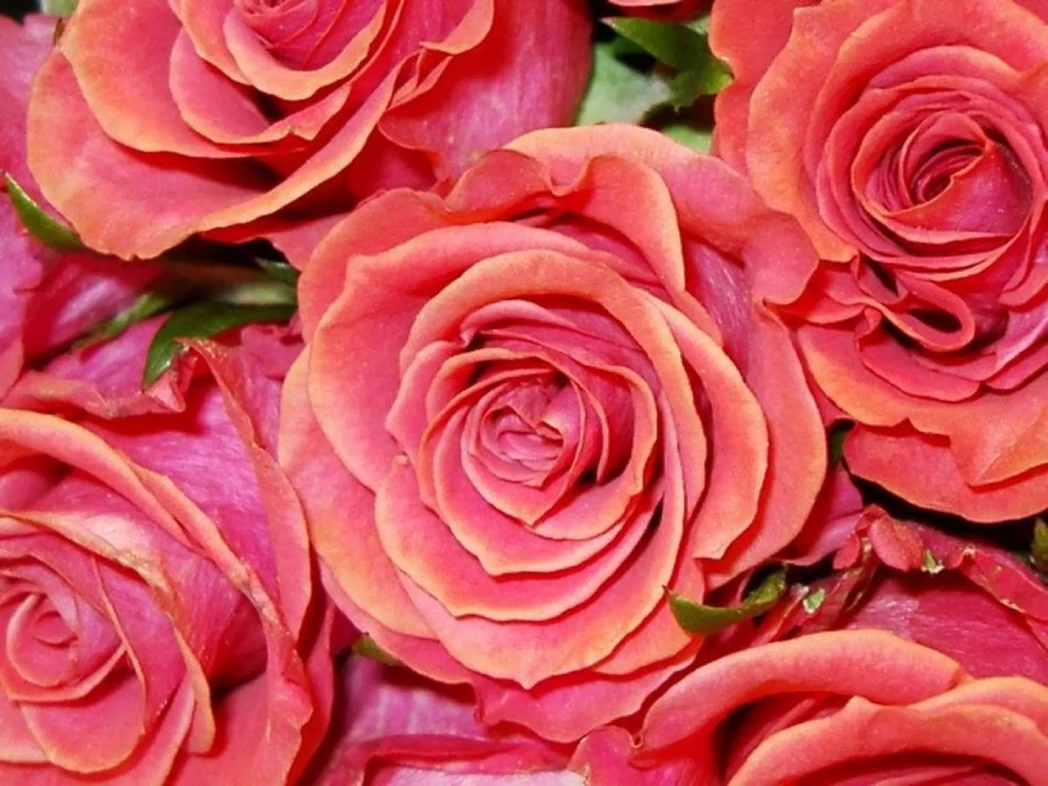 To write a good love letter you ought to begin without knowing what you mean to say and to finish without knowing what you have written. Jean Jacques Rousseau