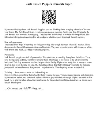 Jack Russell Puppies Research Paper
If you are thinking about Jack Russell Puppies, you are thinking about bringing a bundle of love to
your home. The Jack Russell is an even tempered, people pleasing, fun to own dog. Originally the
Jack Russell was bred as a hunting dog. They are now mainly bred as wonderful companions. The
following information is designed to let you know what to expect from Jack Russell puppies.
Size and appearance
These are small dogs. When they are full grown they only weigh between 13 and 17 pounds. These
dogs come in three different coat color combinations. They can be white, white with brown, or white
with brown and black. All three colors are gorgeous.
Personality
Jack Russell puppies are full of personality. The retain this personality throughout their lives. They
love their people and they want to be around them. This breed is not meant to be left alone in the
backyard. This dog wants and needs to be part of the family. If you want a dog that is happy to be on
its own, this is not the one for you. The Jack Russell is a dog that will make you smile. He runs and
jumps with such exuberance that you can t help but smile. This dog truly seems to enjoy life.
Training ... Show more content on Helpwriting.net ...
However, this is something that is bad for both you and the dog. The dog needs training and discipline.
If you are not a firm, and consistent trainer, this little guy will take advantage of you. He needs a firm
hand. He is a terrier after all and they are known for being stubborn if they do not have a strong pack
leader. That is your
... Get more on HelpWriting.net ...
 