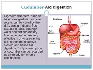 Impressive health benefits of cucumber A series of Presentation By…