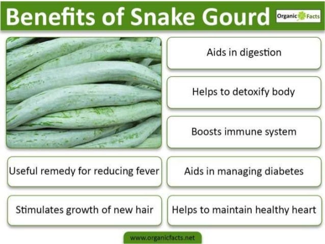 Impressive Health Benefits Of Snake Gourd A Series Of Presentation