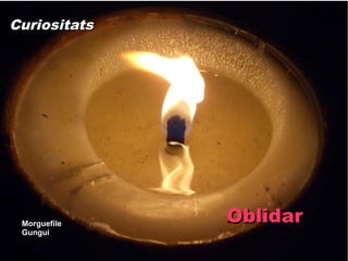 Curiositats




 Morguefile
              Oblidar
 Gungui
 