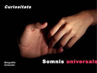 Curiositats




Morguefile    Somnis univer sals
Zonecolor
 